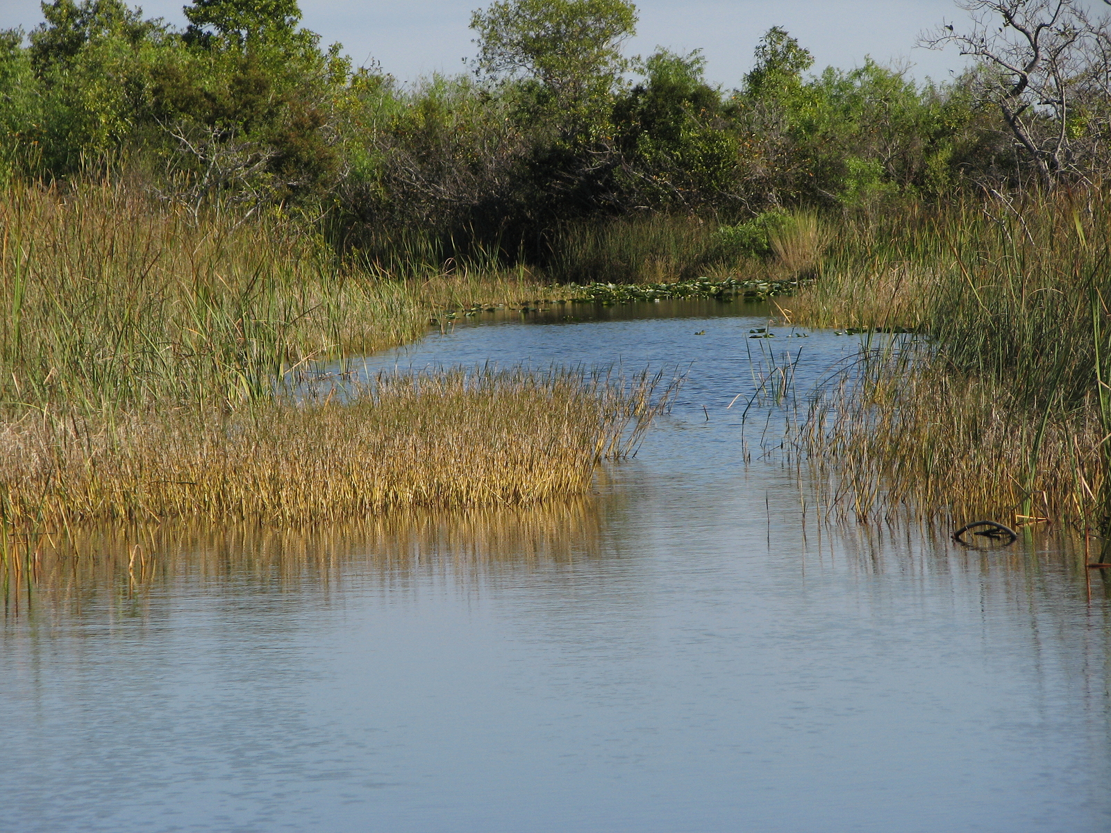 Florida Bay – South Florida Aquatic Environments